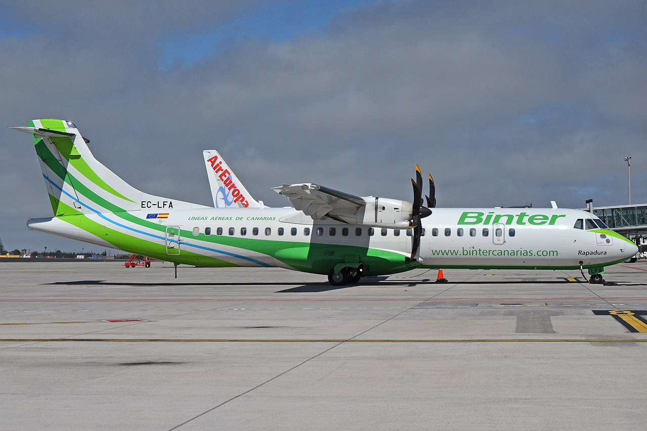 Spotting Canaries: Tenerife Sur & Tenerife Norte Ec-lfa_12802sxu4k