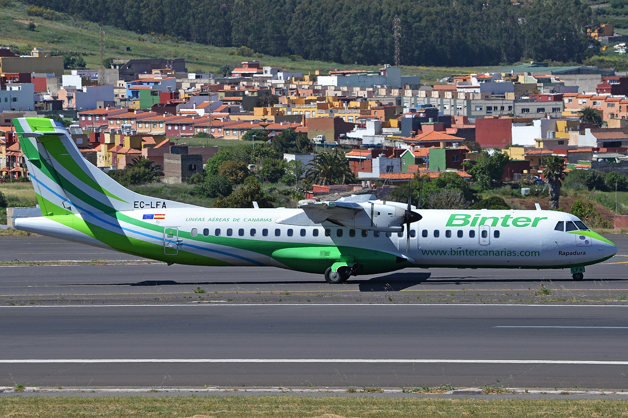 Spotting Canaries: Tenerife Sur & Tenerife Norte Ec-lfa_1280m5ro2