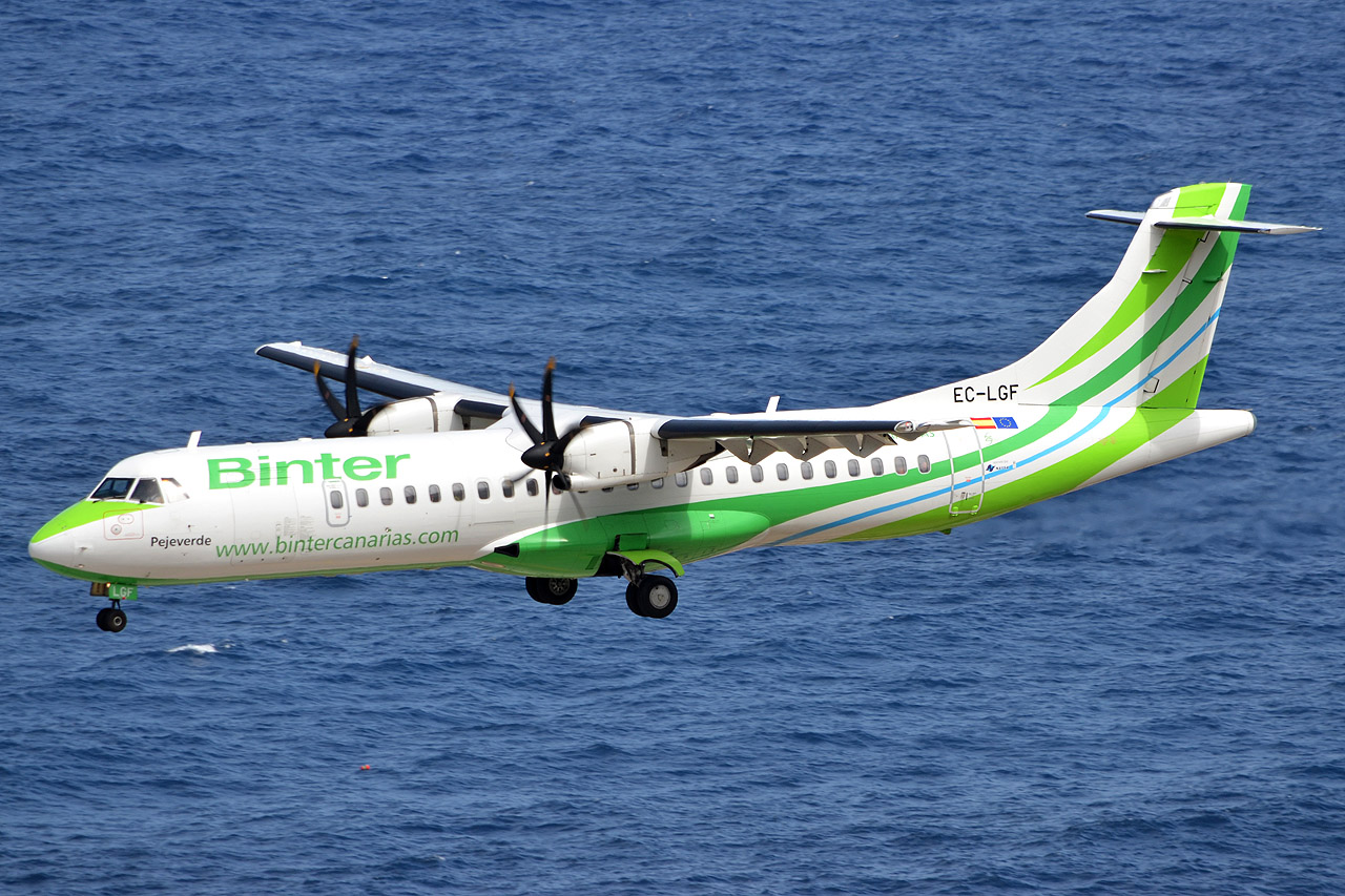 Spotting Canaries: Gran Canaria, La Palma & La Gomera Ec-lgf_approachjaoh2