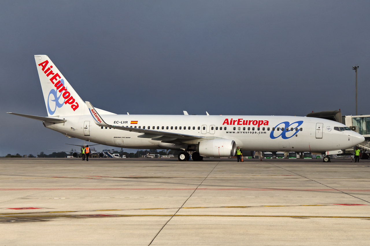 Spotting Canaries: Tenerife Sur & Tenerife Norte Ec-lvr_1280i8u6f