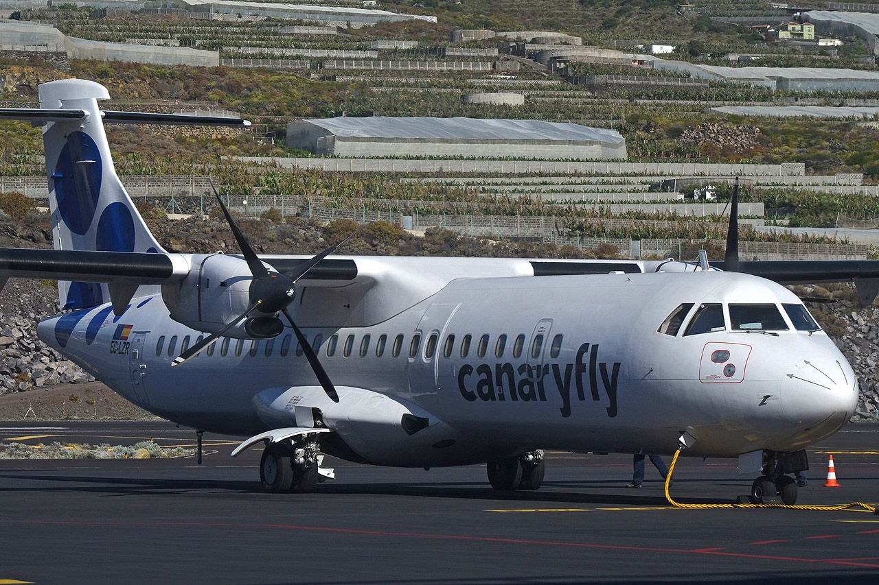 Spotting Canaries: Gran Canaria, La Palma & La Gomera Ec-lzr_12802kcoca