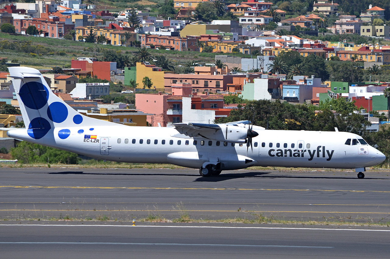 Spotting Canaries: Tenerife Sur & Tenerife Norte Ec-lzr_12807zqo8