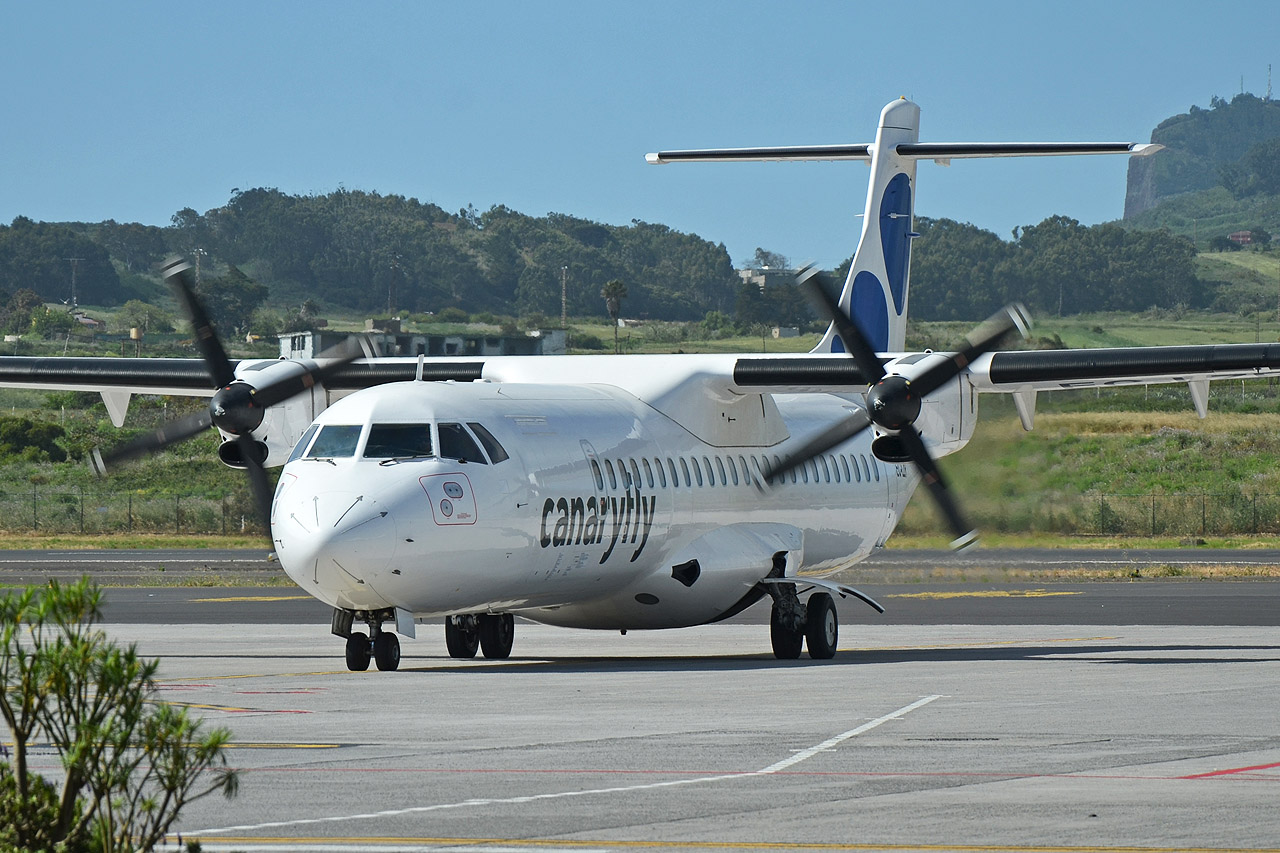 Spotting Canaries: Tenerife Sur & Tenerife Norte Ec-lzr_tfn_1280xjuvt