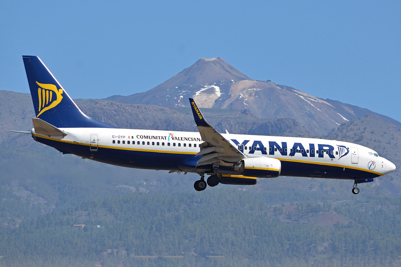 Spotting Canaries: Tenerife Sur & Tenerife Norte Ei-dyp_1280nfu18