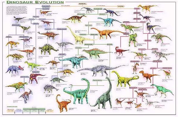 Die Entstehung der Dinosaurier Evolution5rb7w