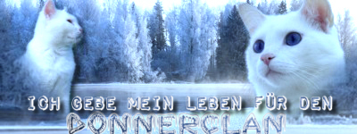 Meines^^ alles meines - Seite 3 Frostsignemskkkrg