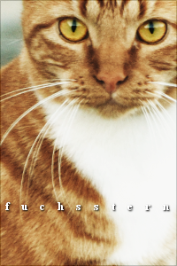 Fuchsstern