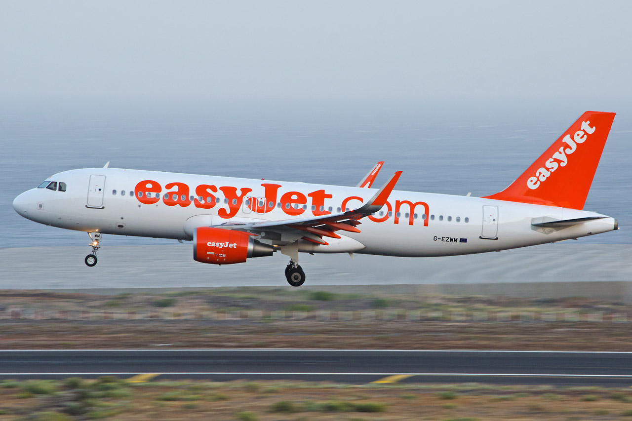 Spotting Canaries: Tenerife Sur & Tenerife Norte G-ezwm_1280kgutq