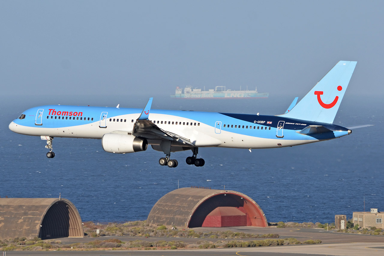 Spotting Canaries: Gran Canaria, La Palma & La Gomera G-oobp_12803sj51