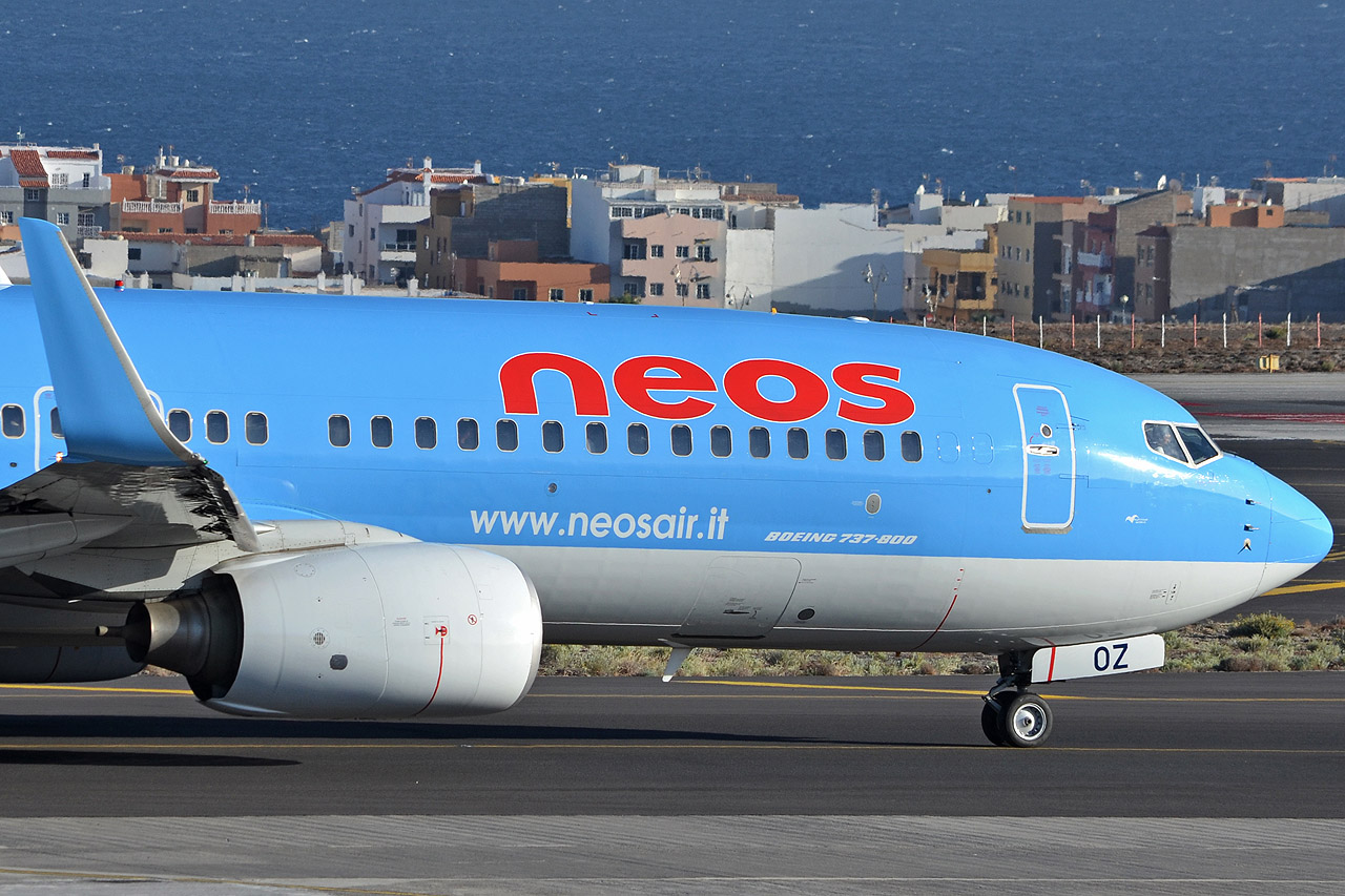 Spotting Canaries: Tenerife Sur & Tenerife Norte I-neoz_closeup_1280frpf4