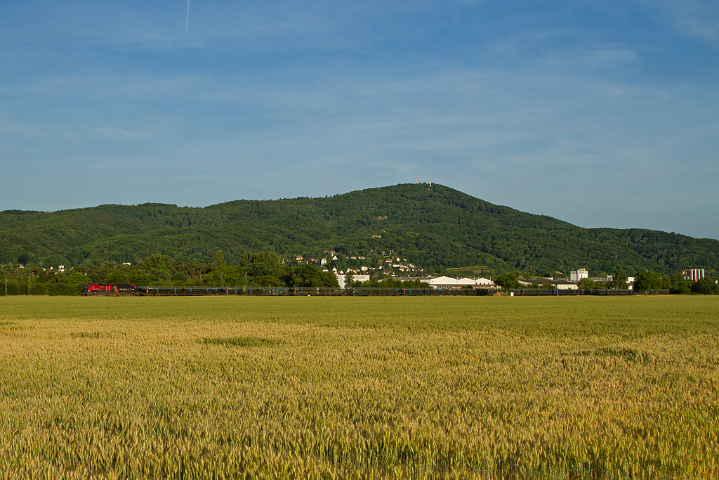 Ein Kessel Buntes aus den letzten Monaten [16 Bilder] Img_41531s7utv