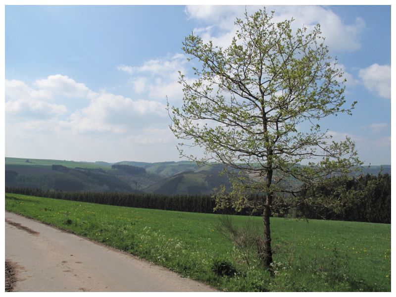 Balade de l'Arbre de mai (quater) : Luxembourg à Aachen par les Pistes cyclables et la Vennbahn [mai 2015] saison 10 •Bƒ - Page 2 Img_7075mnzyr