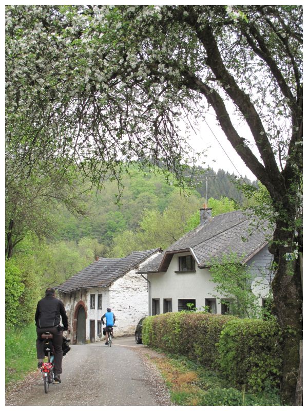 Balade de l'Arbre de mai (quater) : Luxembourg à Aachen par les Pistes cyclables et la Vennbahn [mai 2015] saison 10 •Bƒ - Page 2 Img_7112gtlts