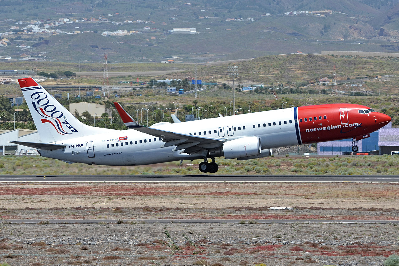 Spotting Canaries: Tenerife Sur & Tenerife Norte Ln-nol_12800bpxv