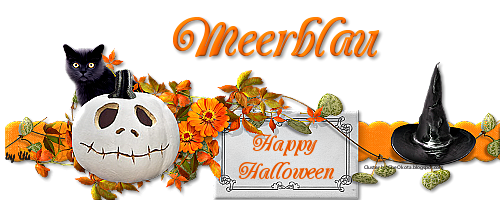 Meerblau Meerblau-2016-halloi5s8l