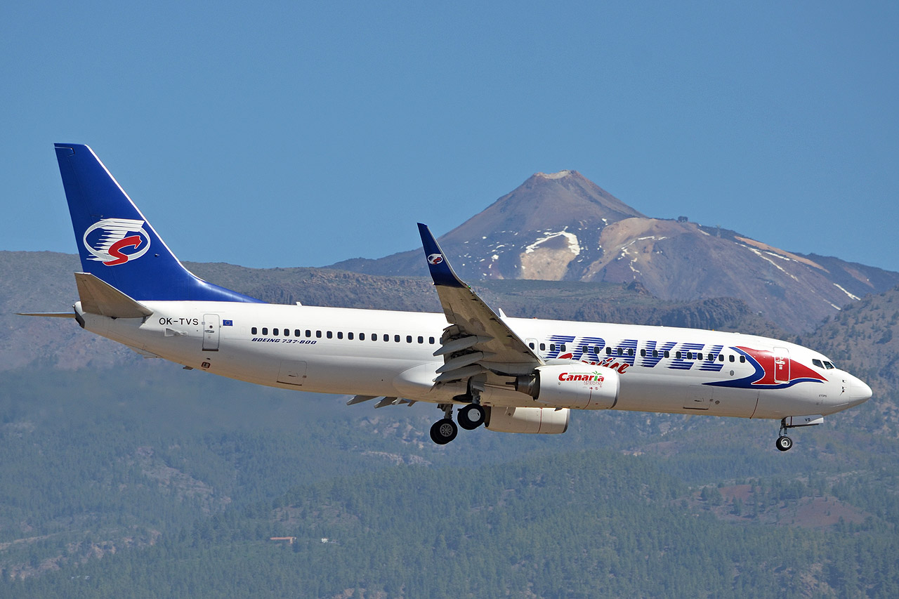 Spotting Canaries: Tenerife Sur & Tenerife Norte Ok-tvs_12805gu60