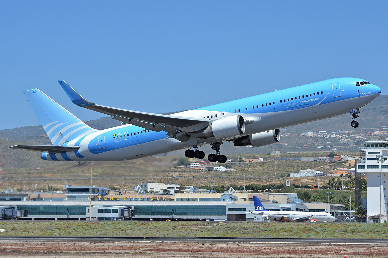 Spotting Canaries: Tenerife Sur & Tenerife Norte Oo-jap_12806bprk