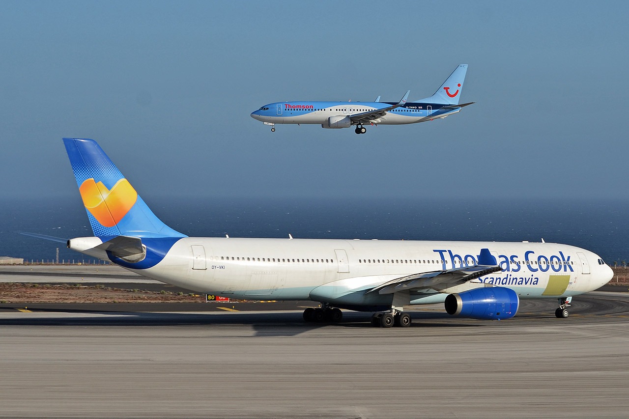 Spotting Canaries: Tenerife Sur & Tenerife Norte Oy-vki_g-tawo_1280f9oi1