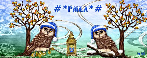 #*Paula*# Paula-wint-2017cekc4