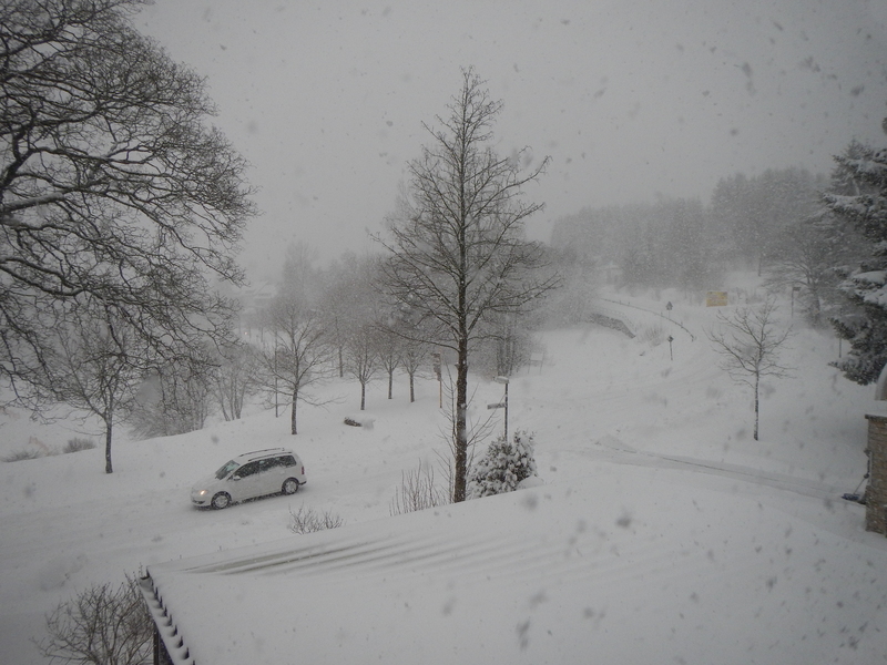 Ostern oder Weihnachten? Schneevgel2015-04-020s3smo