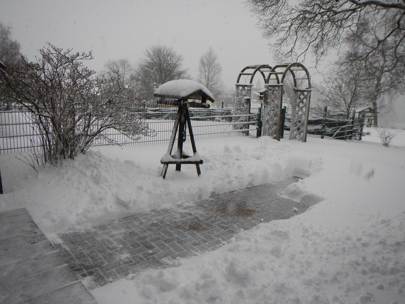 Ostern oder Weihnachten? Schneevgel2015-04-020wsslx