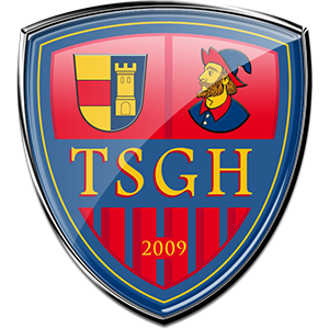 Wappen - Anfragethread - Seite 24 Tsg_heidenheim2_bigddjoa