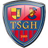 Wappen - Anfragethread - Seite 24 Tsg_heidenheim2_ingamm6saz