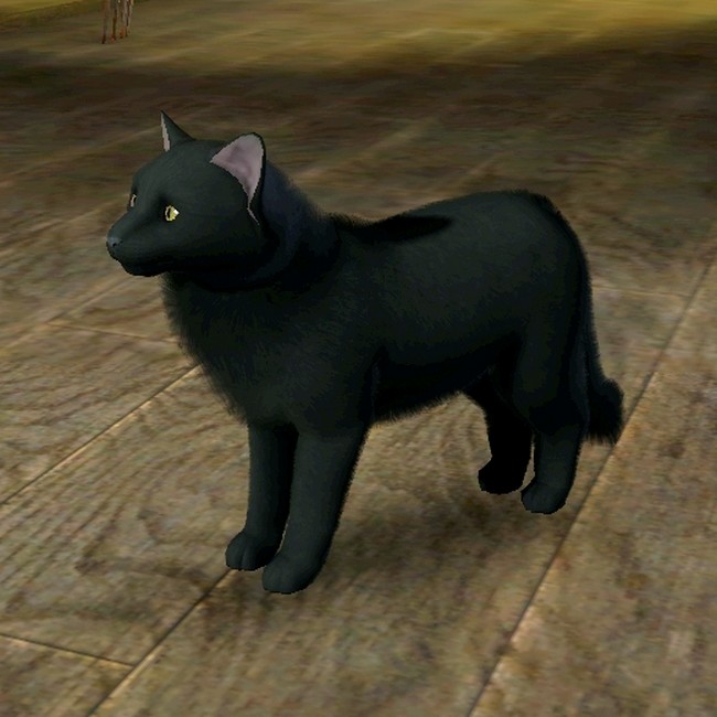  Sims - Tiere - Seite 2 Wicca650busl4