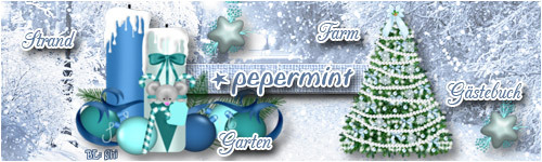 Galerie von Shikari Winter_8-pepermintf1qav