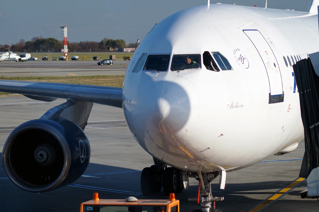 Aeroportul Bucuresti - Henri Coanda / Otopeni (OTP / LROP) - Noiembrie 2013   Z-yr-lcb2t0iak