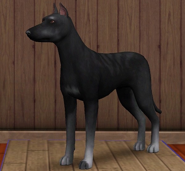  Sims - Tiere - Seite 2 Zonk600standlsol3