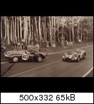 1964 24h Le Mans 1964-lm-40-0003kwrtc