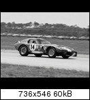 Shelby Daytona Coupè 1965-2-12h-seb-14-000y8jad