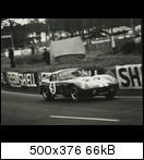 Shelby Daytona Coupè - Page 2 1965-8-lm-09-00059rjcn