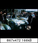 1955 24h Le Mans 24-01vashj