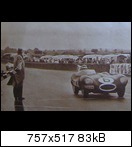 1955 24h Le Mans 95-finish-01dysg0