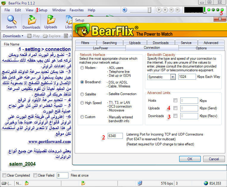 شرح أسرارعملاق تبادل ملفات الفيديو BearFlix ( BearShare للو 15