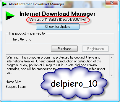  Internet Download Manager 5.11 Build 9 10