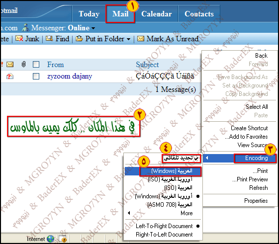 حل مشكلة اللغه العربيه في الهوتميل 005