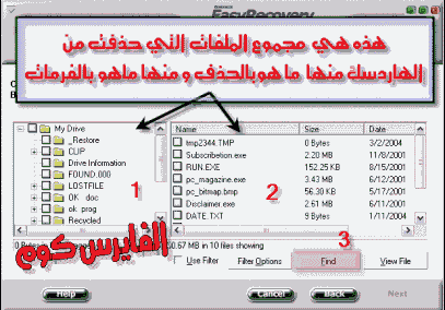  حصريا البرنامج الآسطوره Easy Recovery Professional v.6 كامل بدون كراك الشرح بالداخل  AN11