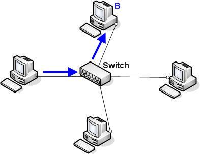 للمبتدئين في عالم الشبكات، فرق بين Hub، Bridge، Switch، Router 3