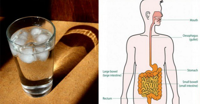 لماذا تصدر المعدة أصوات وقت  الجوع Water