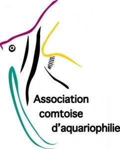 [25] Association comtoise d'Aquariophilie Aca-Couleurs400-242x300