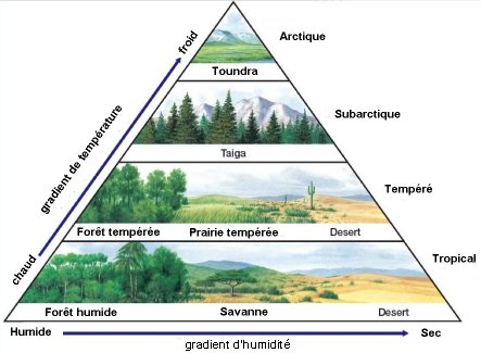 [Event] Congrès Scientifique N°02 - Page 4 Biomes_comparaison