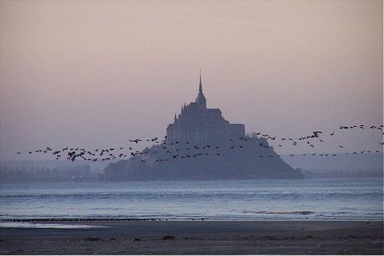 Balades en France-curiosités-(Chaos de Montpellier le Vieux -+Abîme de Bramabiau Ect.... Baie-mont-saint-m