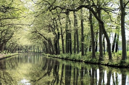 Balades en France-curiosités-(Chaos de Montpellier le Vieux -+Abîme de Bramabiau Ect.... Canal-midi-547744-1a2d0a0