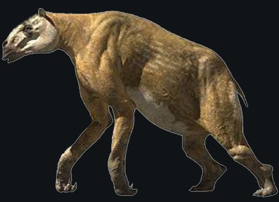 Animaux préhistoriques -Diprotodon - Chalicotherium -et autres(photos,textes...) D1d3d143