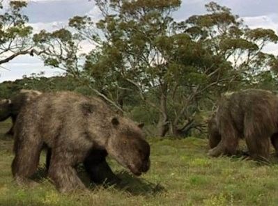 Animaux préhistoriques -Diprotodon - Chalicotherium -et autres(photos,textes...) E9b40488