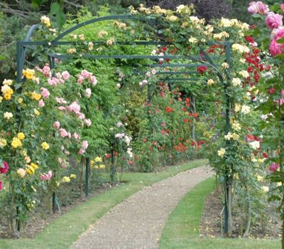 Villes françaises -Carcassonne +-Les jardins - et autres Fleurs-a-l-honneur-462231-1fd382c