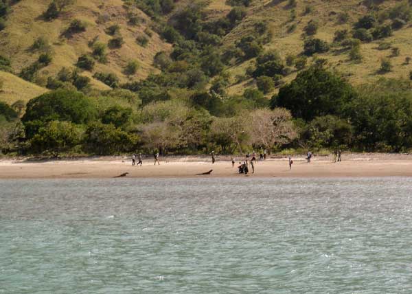 Parcs, réserves... - Long Point -2- Komodo_05-148108c